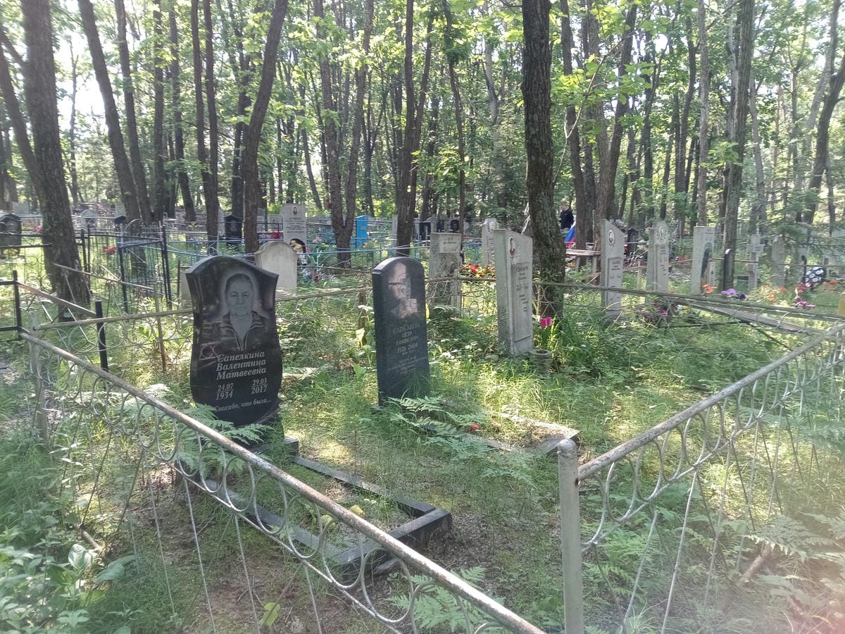 31388f34-d529-4a8e-bb2a-be73d54388ca Сапелкин Петр Ефимович