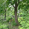 Жимовский Борис Александрович