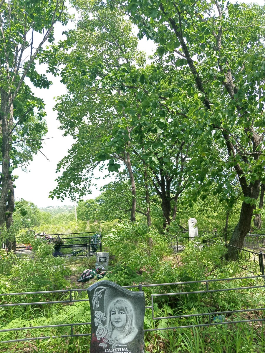 31ae5b3b-0257-4a52-aaba-c725b25d70f0 Саяпина Ильченко Наталья Константиновна