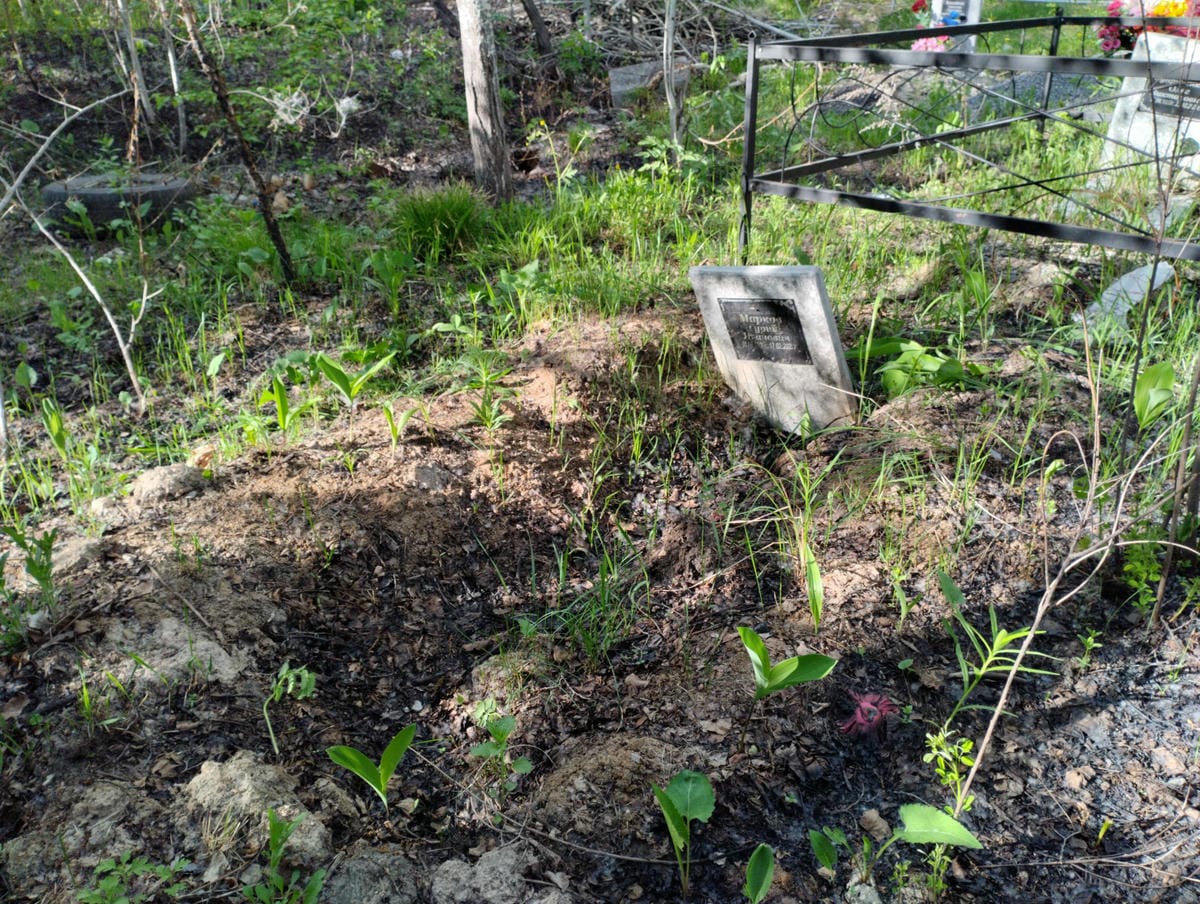 Марков Гурий Иванович