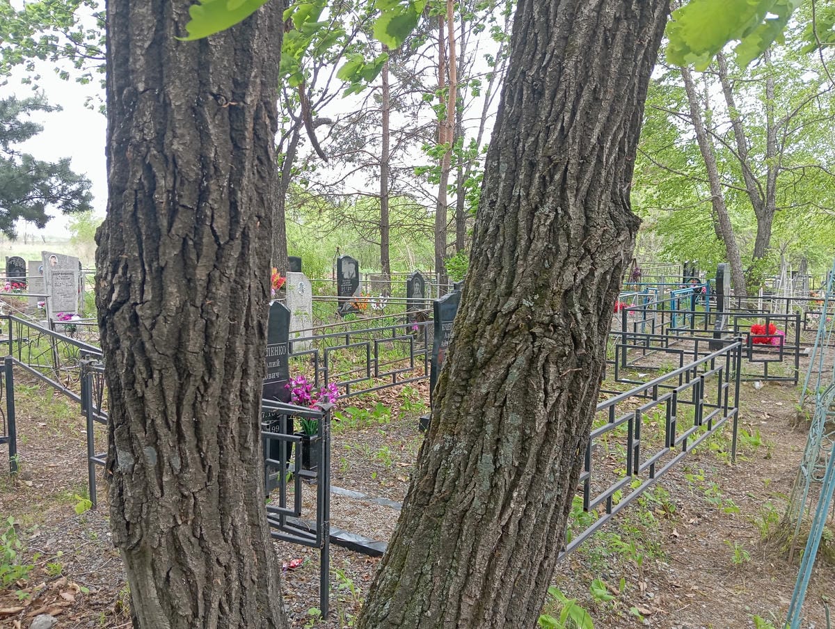 Куцепаленко Алевтина Александровна