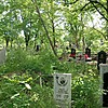 Флис Василий Григорьевич