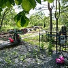 Кузнецова Альбина Дмитриевна