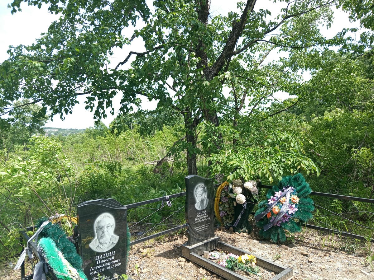 Лапин Николай Александрович