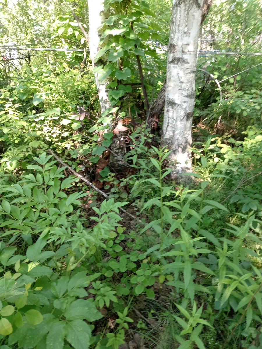 33a485e0-f8e9-40f9-912d-e8e7f350db56 Неизвестно Неизвестно Неизвестно