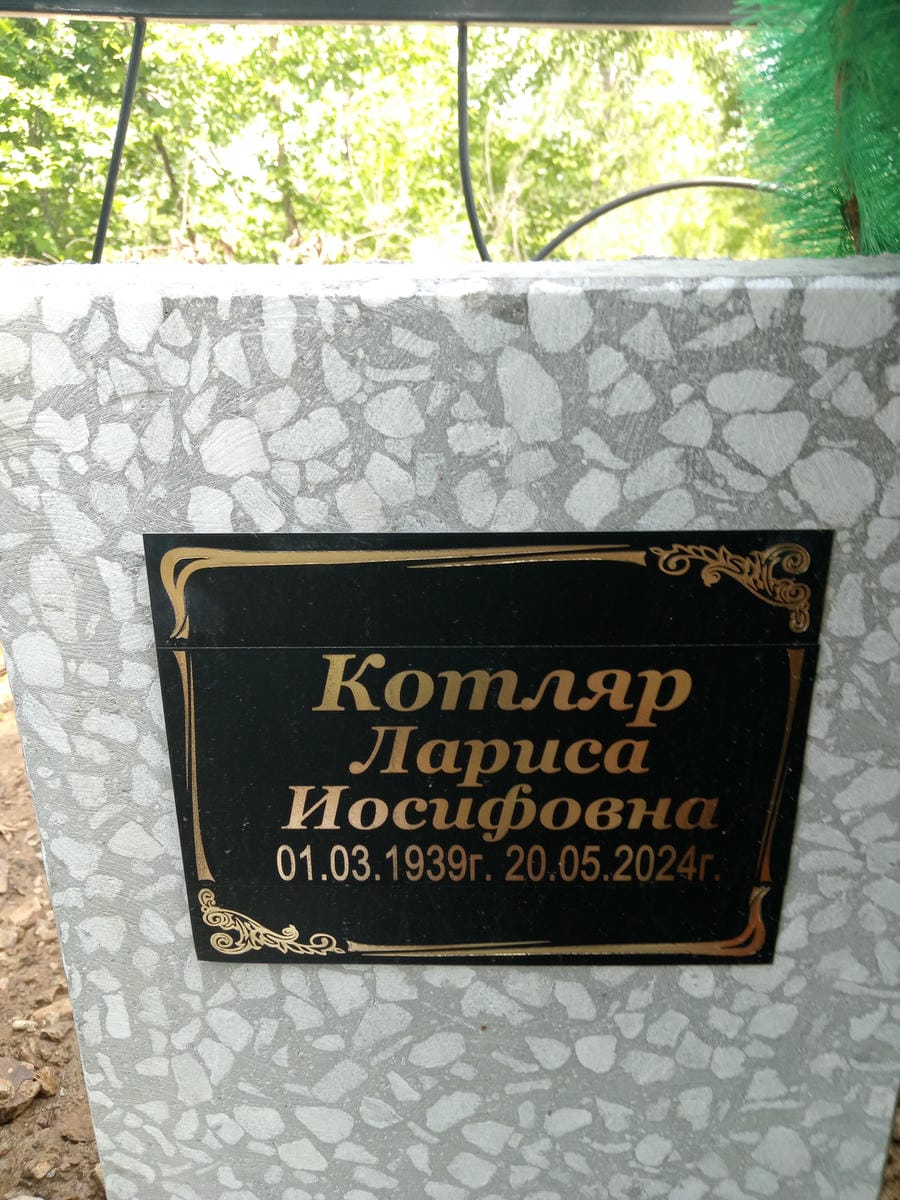 3444a6ad-5907-445c-8672-7bf9195e68c0 Котляр Лариса Иосифовна