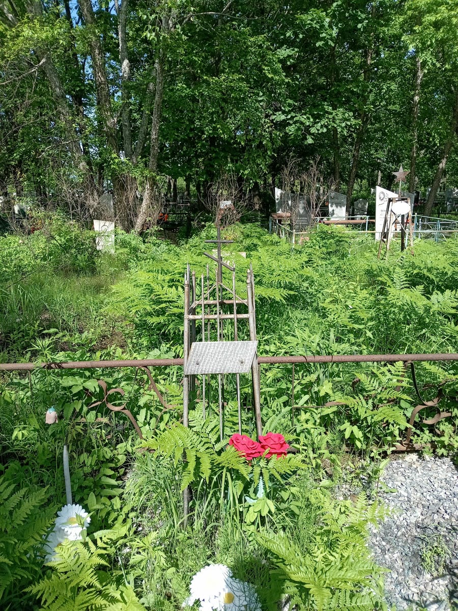 Балашова Вилена Васильевна