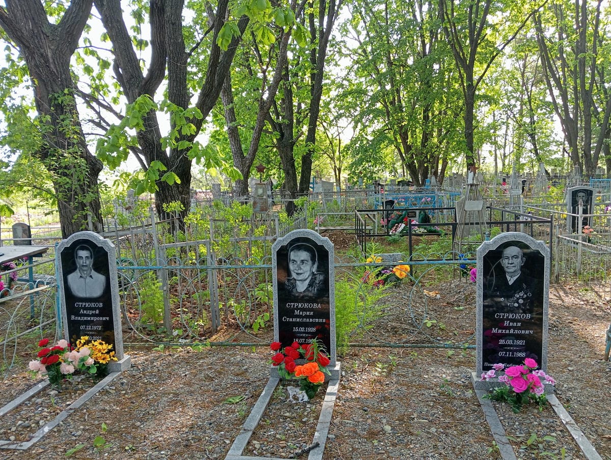 34a7ab70-87fc-4027-b6fa-15896ed21e94 Стрюкова Мария Станиславовна