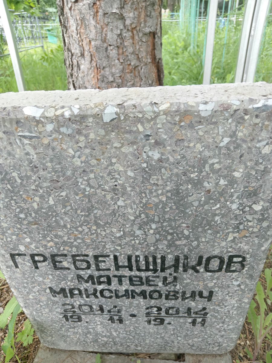 3528c2e0-8093-4289-ae1c-c87ebfec42db Гребенщиков Матвей Максимович