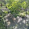 Андреева Людмила Ивановна