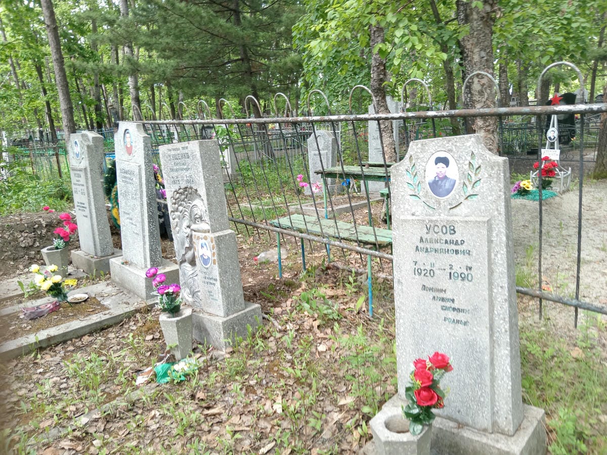 3579719f-c035-4439-b8c0-8bb163dd65f8 Усов Александр Андриянович