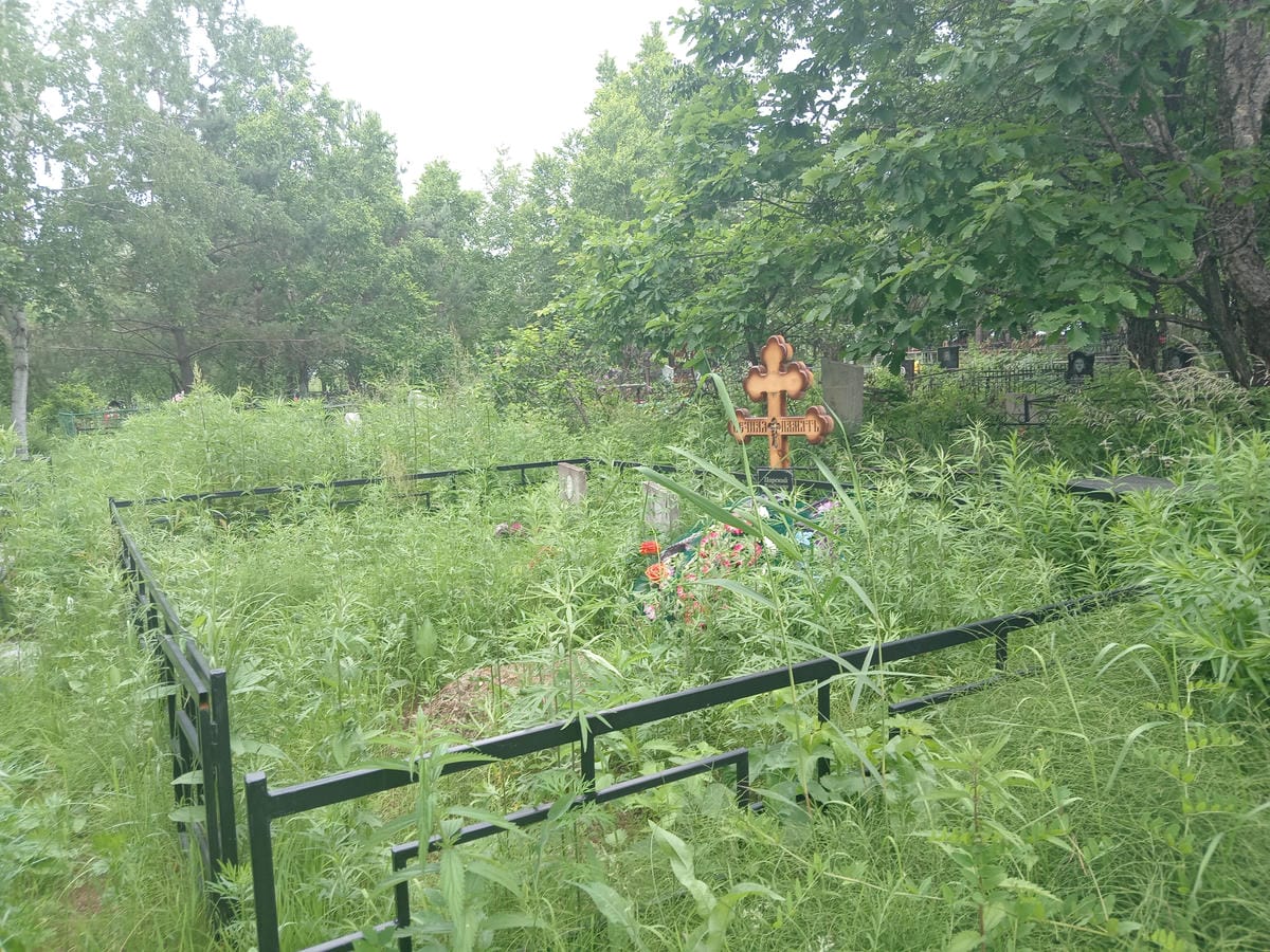 359c9162-1433-4bbd-8428-24e0440c02d1 Царский Владимир Константинович