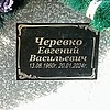 35f0e6f3-2729-422e-912d-b2ef9bffe509 Черевко Евгений Васильевич