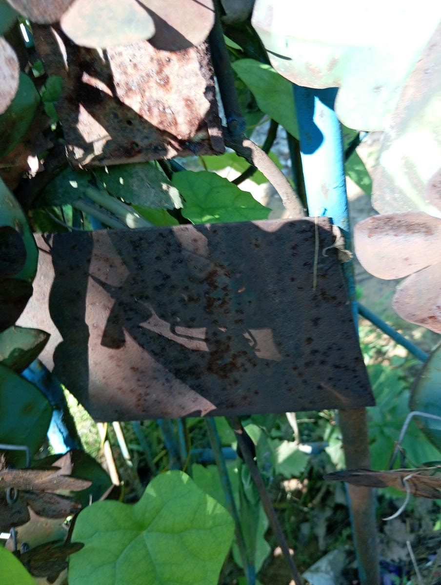 Неизвестно Неизвестно Неизвестно