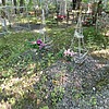 Фролова Елена Васильевна