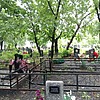 Левадней Александр Григорьевич