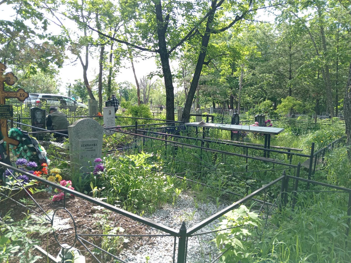 377d3c31-fd06-4ca6-8281-08ca3fa0385b Некрасова Ксения Тимофеевна