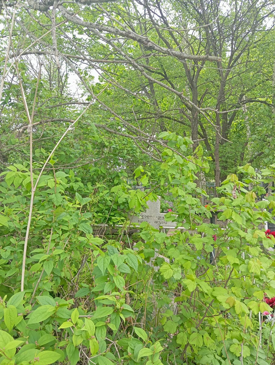 37ee0830-d153-40cc-b81e-c9523dba130a Перепелица Варвара Осиповна