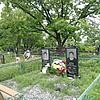 Лаврук Евгения Владимировна