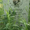 Цветков Николай Александрович