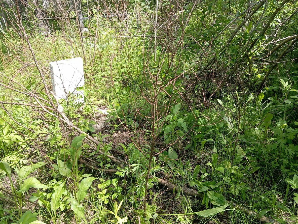 Степанчук Владимир Степанович