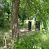 Кашуба Александра Григорьевна