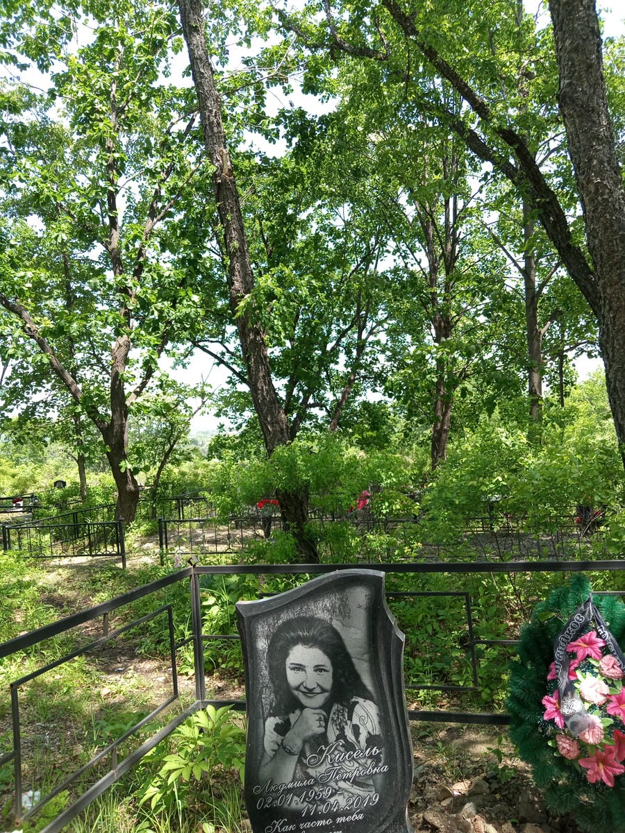 392241d1-90ed-4f91-9d58-2126ed7e12ac Кисель Людмила Петровна