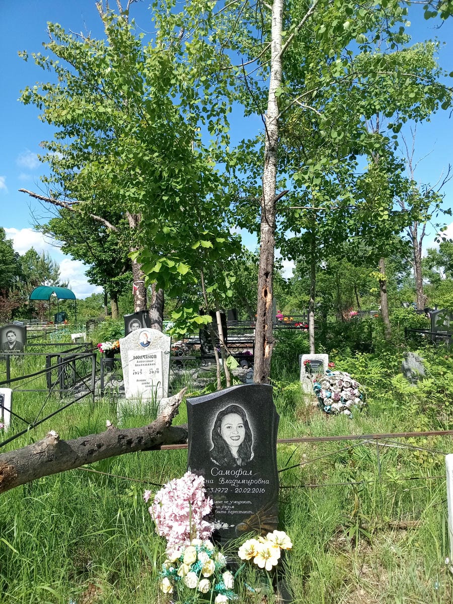 Самофал Елена Владимировна