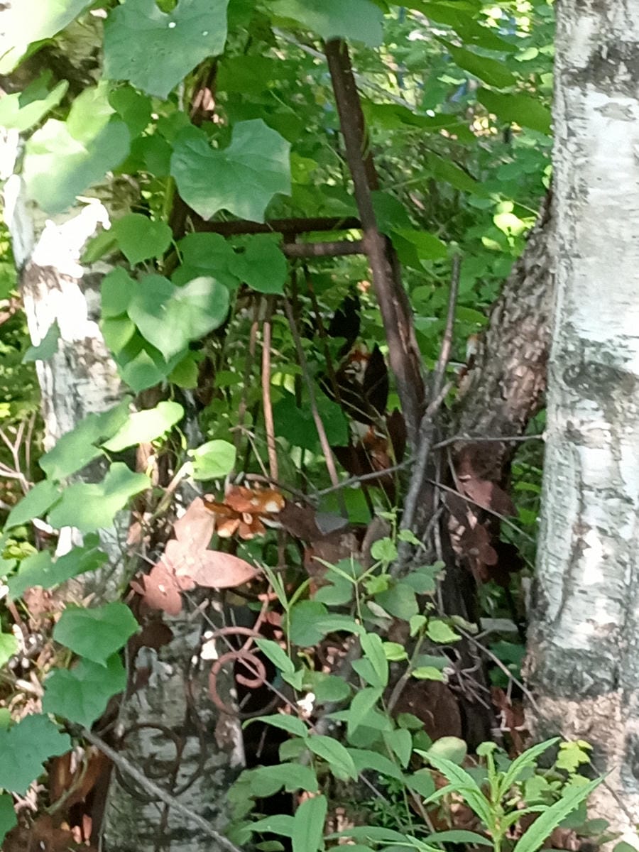 3a5c0e8f-07a8-4ac4-a080-52d6580e962d Неизвестно Неизвестно Неизвестно