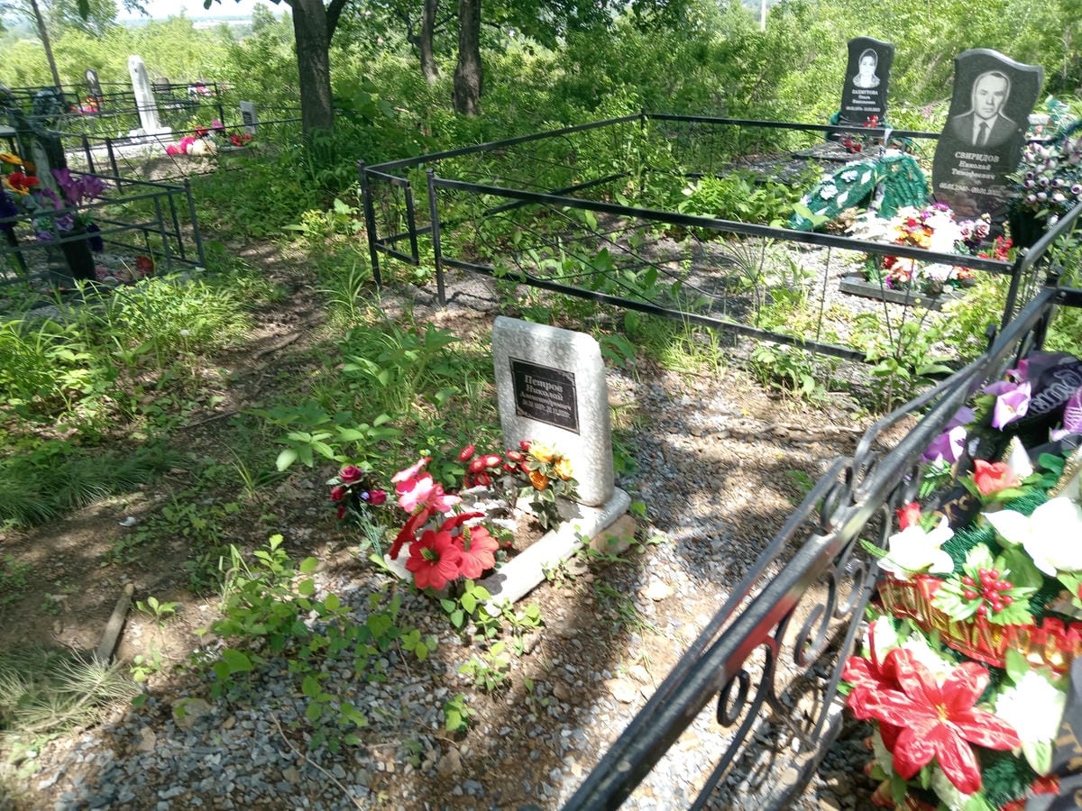 3afa1e0b-b0fa-4be6-a31a-8561885c0cb3 Петров Николай Александрович