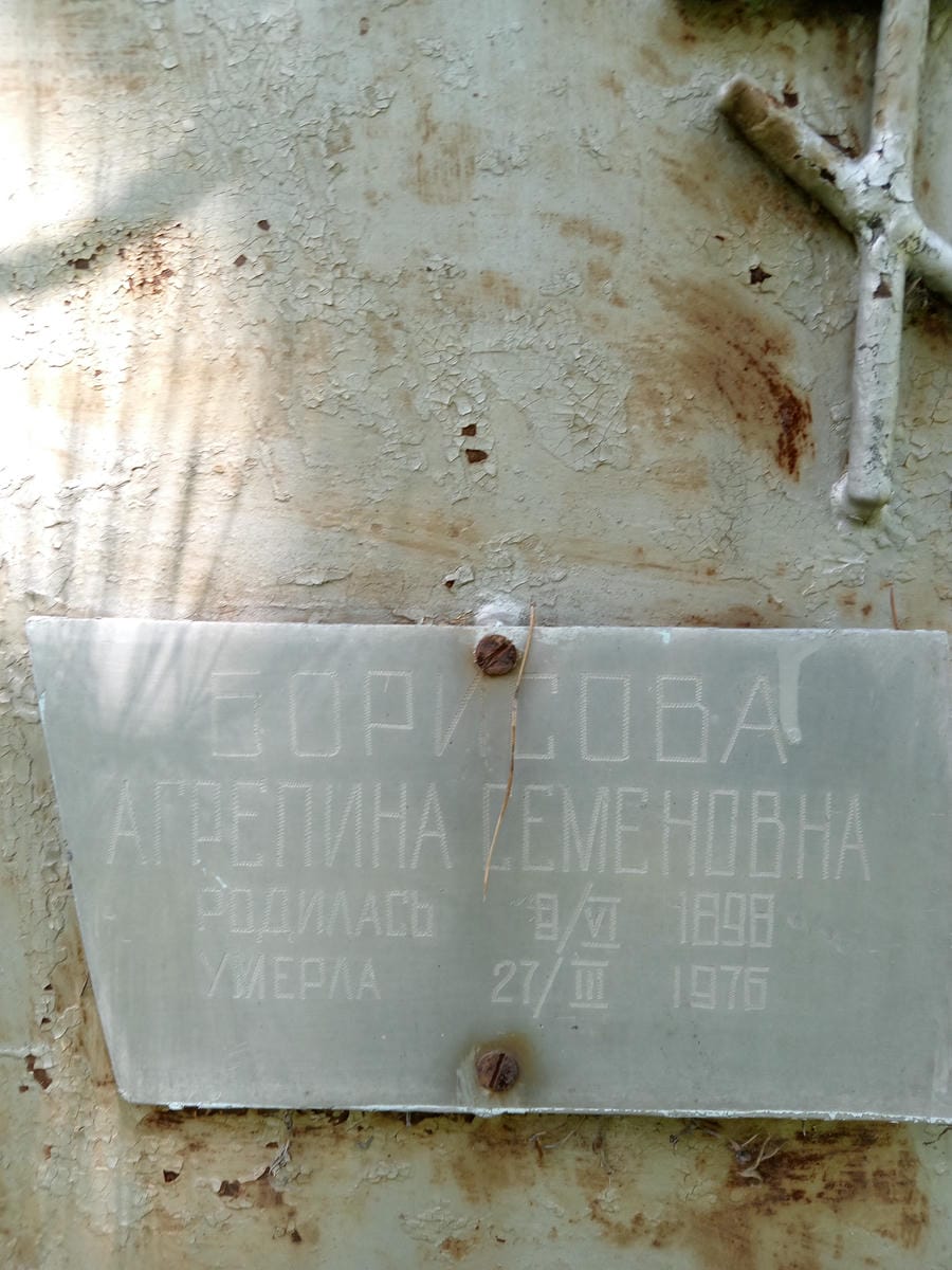 3b32fe71-3d24-4281-a13e-1e6a44e9a6e3 Борисова Агрепина Семеновна