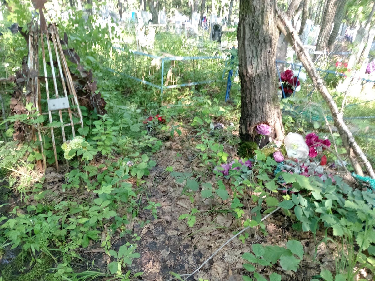 3b38df51-a312-4c37-8946-4b6328bef17d Неизвестно Неизвестно Неизвестно