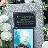 Молостов Андрей Николаевич