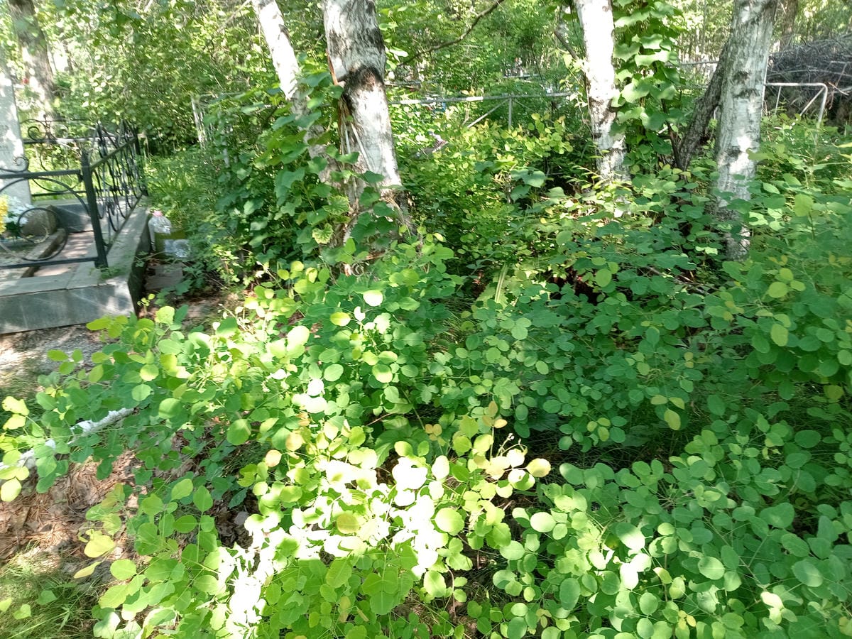 3dee430a-6f73-425c-84b3-e9419243291d Ермышкин Василий Семёнович