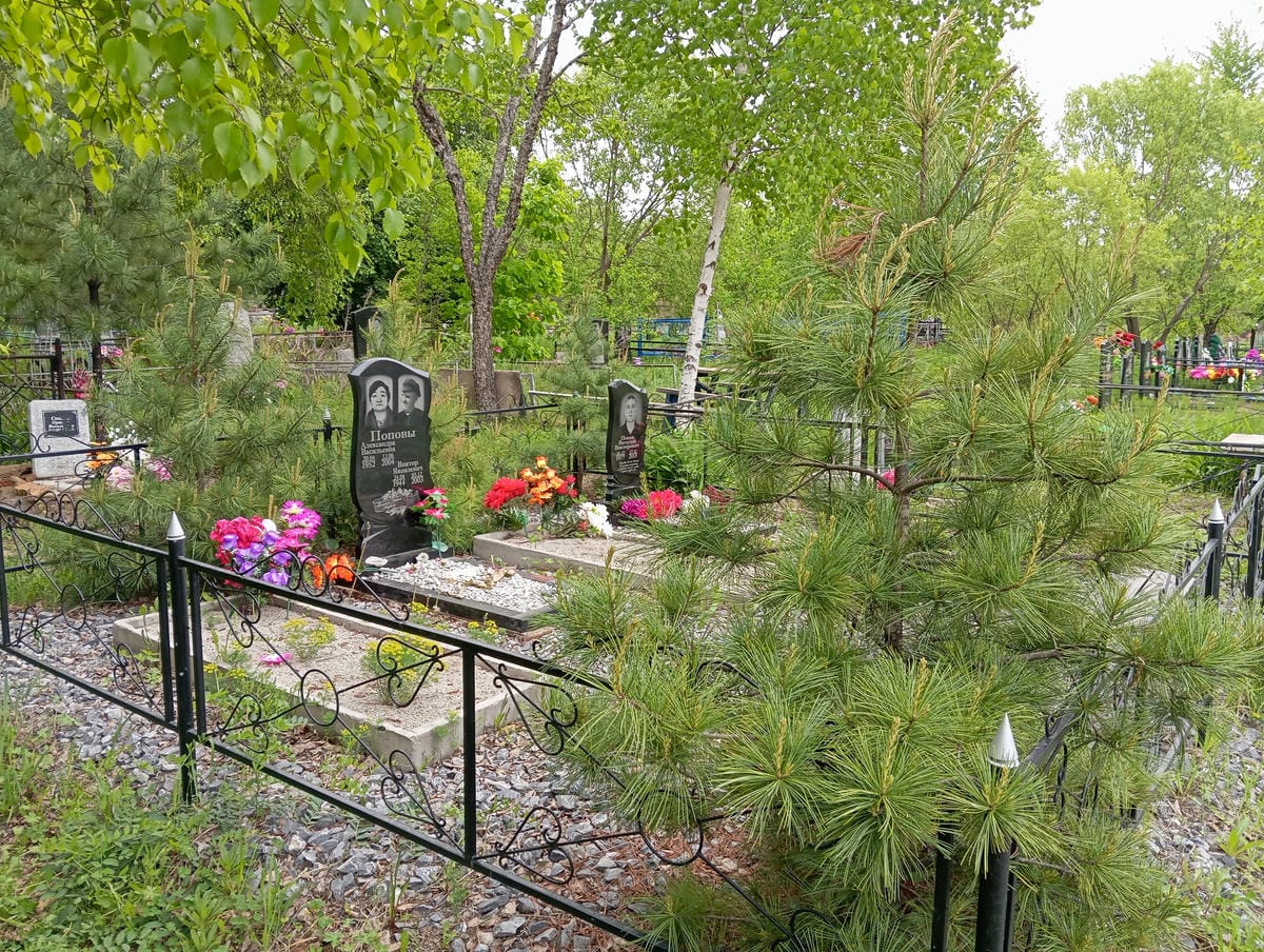 3e812546-9a96-4035-a007-454c8400c0c7 Попов Виктор Яковлевич