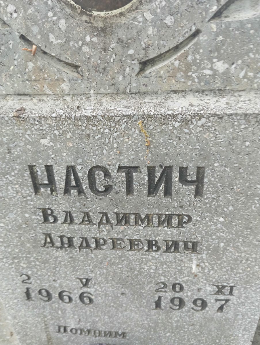 Настич Владимир Андреевич