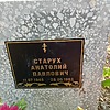 Старух Анатолий Павлович