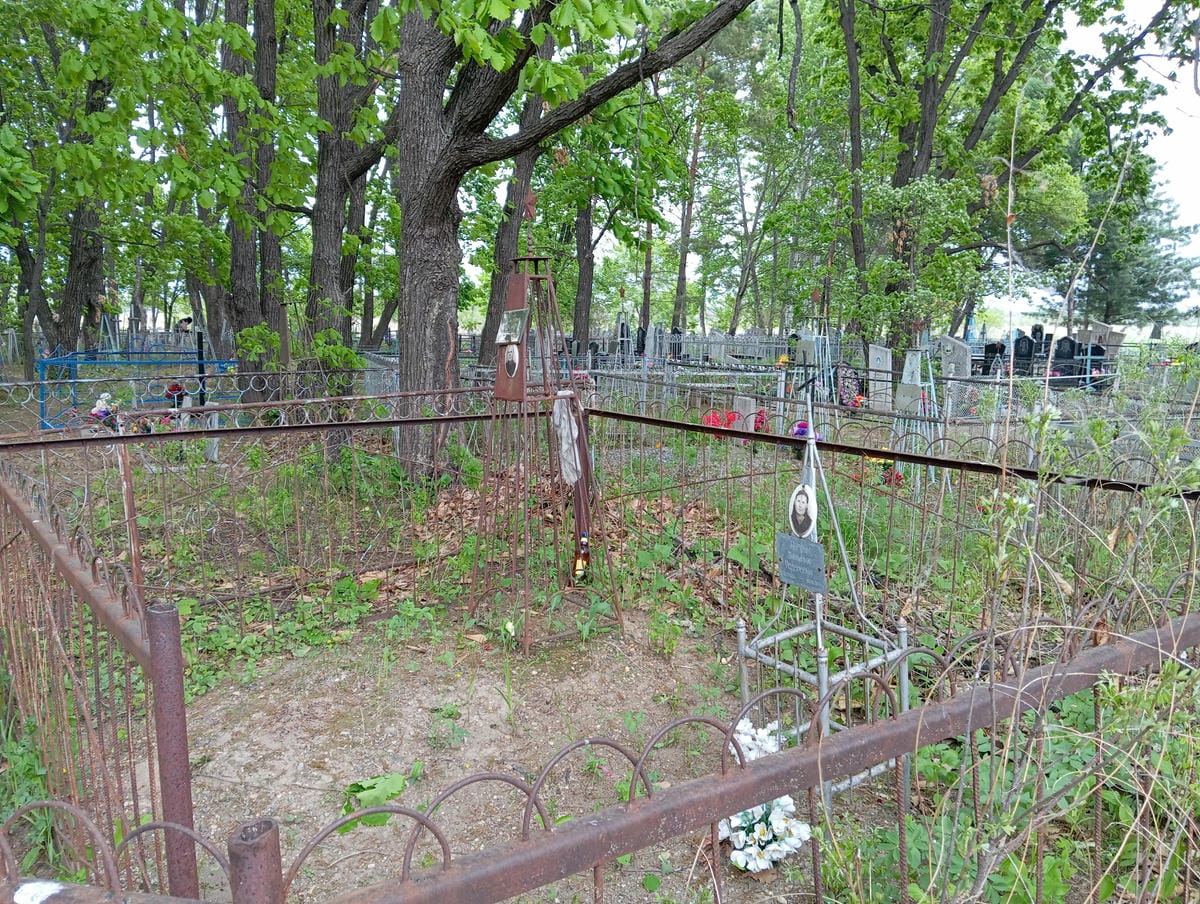 3f53851a-e96e-4330-953e-dfe5f795d40a Негрун Татьяна Федоровна