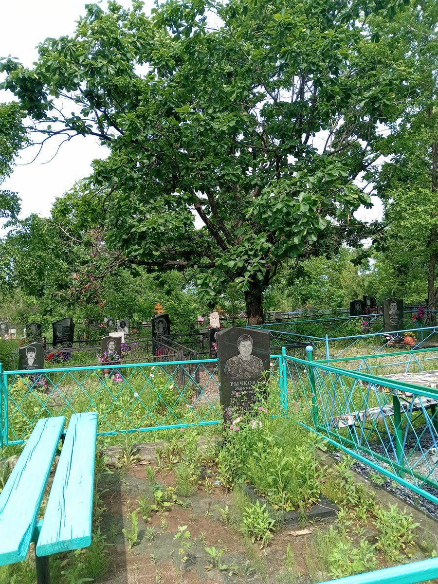 3f6d52fe-9872-4476-b178-49a540753dae Рычкова Зинаида Матвеевна