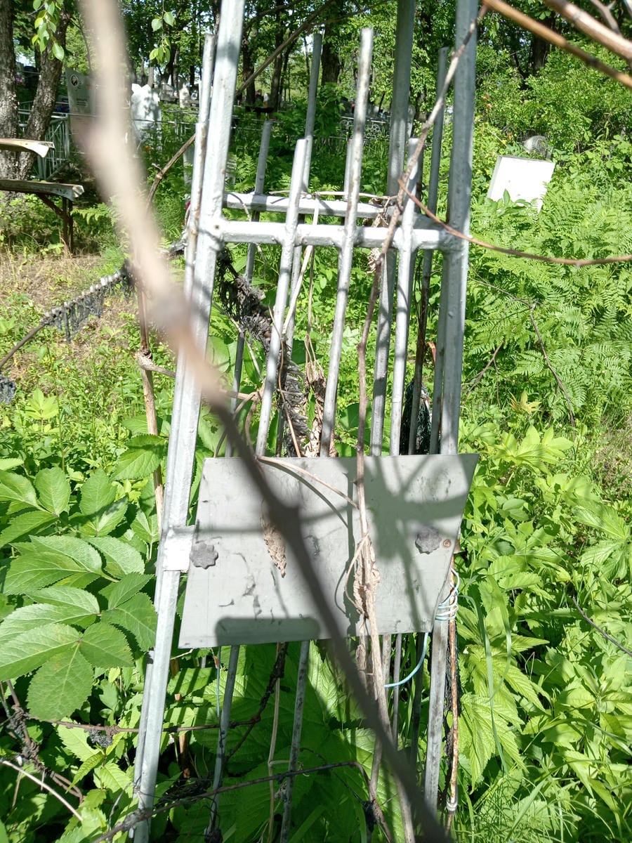 Неизвестно Неизвестно Неизвестно