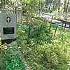 Смоляк Наталья Филипповна