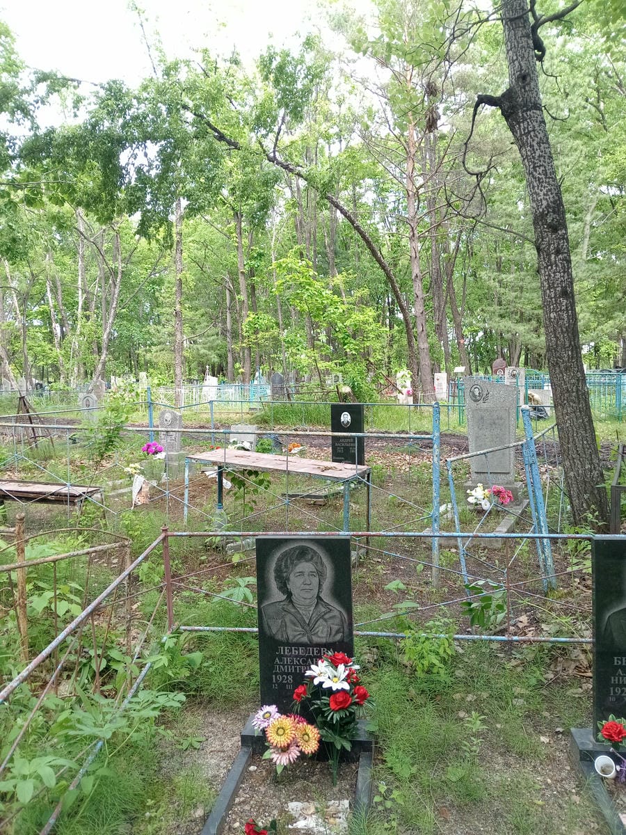 3fc5c3a5-0f11-4693-aa69-9c705d9ad137 Лебедева Александра Дмитриевна