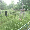 Крижнюк Любовь Петровна
