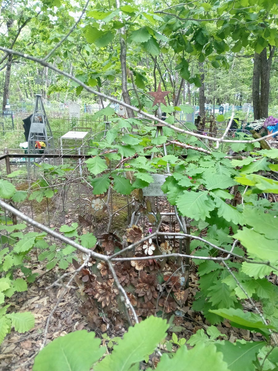 Носенко Григорий Гаврилович