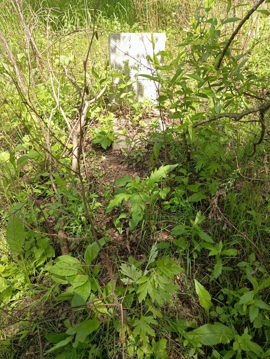 Степанчук Владимир Степанович