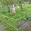 Сметанова Пелогея Григорьевна