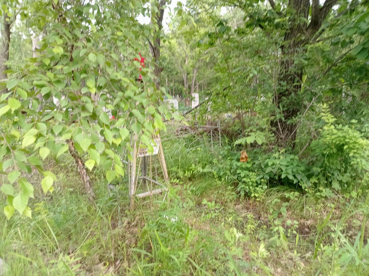 416c7437-e555-4698-a805-085945bc6856 Толмачев Николай Неизвестно