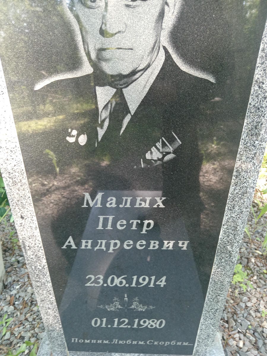 43271555-c115-4835-8f76-b48e61c4c5da Малых Петр Андреевич