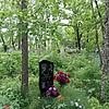 Романюк Павел Александрович