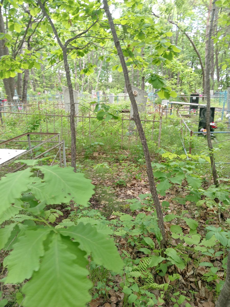 43cd61e5-7484-430d-ac75-ef64538f0ab5 Неизвестно Неизвестно Неизвестно